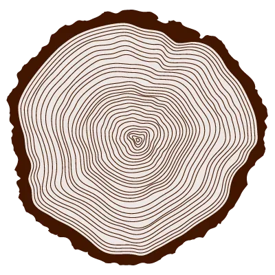 rondin de bois
